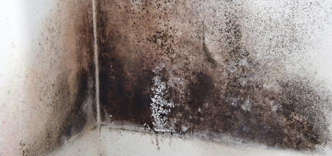 Industry Edge NHS tweet media