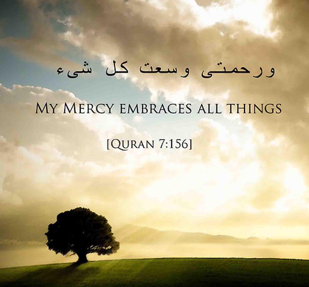 haris_murad's tweet photo. http://t.co/CSwnLAhUlI