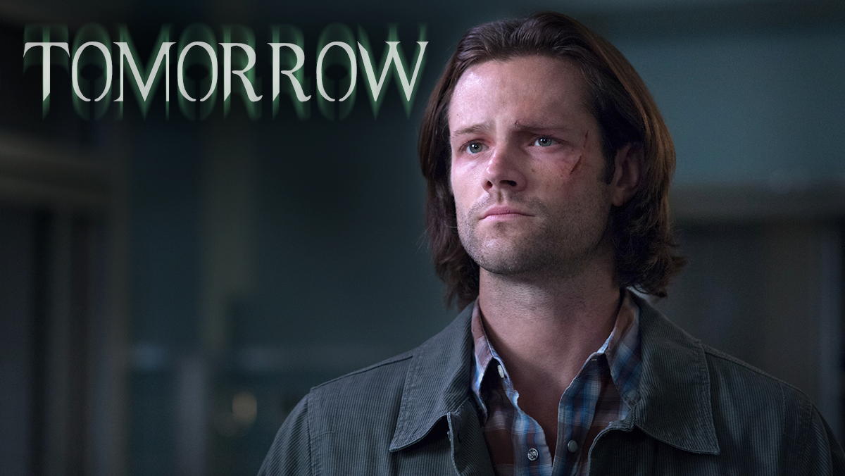 cw_spn's tweet image. The Winchesters have one hell of a fight coming their way when #Supernatural's new season premieres TOMORROW!