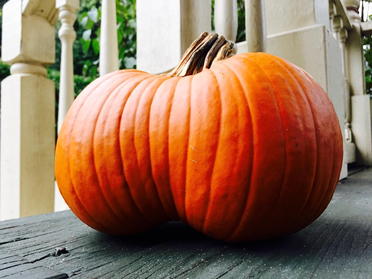 conesnyc's tweet photo. Go ahead…guess what our new fall flavor is! HINT: it's orange and rhymes with "numkin" #sogood http://t.co/g07QgnXXJe
