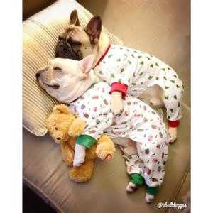 PupsInPjs's tweet photo. Monday night had me like #pupsinPJs #pups #puppies #pajamas #rufflife http://t.co/VYFGCqkPfL