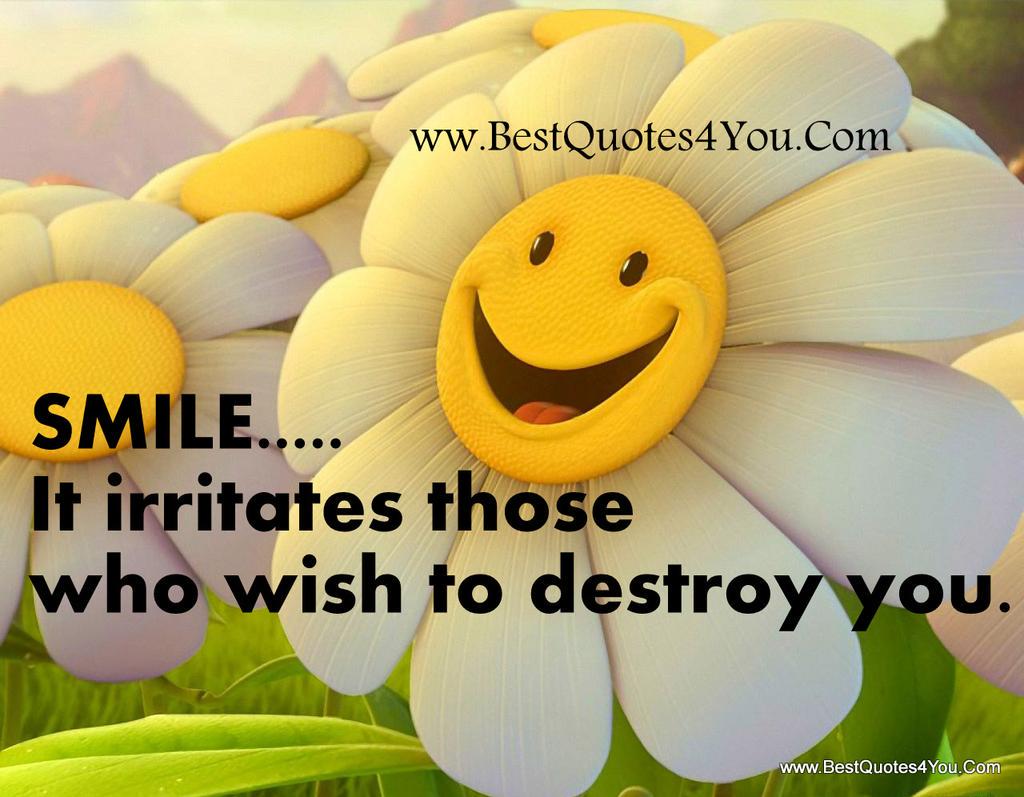 Smile. It irritates those who try to destroy you.😄😄 #Quotes, image size:1024x797