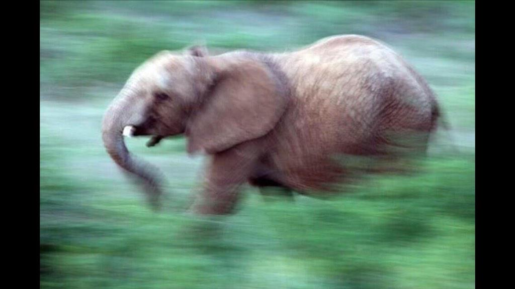 Hay alguien que yo conozco que ya empezo a correr... <a href="/pitubencepieres/">pitu</a> <a href="/bebefarina/">Supertouche</a>