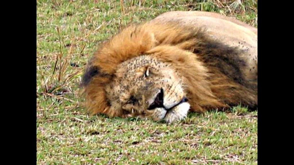 Asi quedo! <a href="/bebefarina/">Supertouche</a>