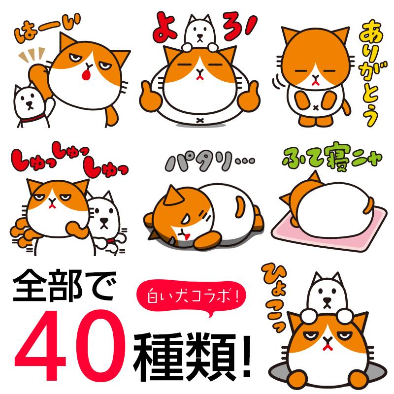 Y Mobile ワイモバイル 公式 V Twitter 大人気の ふてニャン がクリエイターズスタンプになって登場 今度はずーっと使える40種 1円 税込 ご購入はスマホでこちらから Http T Co Qidv7ccewy ニャンニャン使って下さいね Http T Co Ohm1azft0m Y Mobile ワイモバイル 公式 V Twitter 大人気の ふてニャン がクリエイターズスタンプになって登場 今度はずーっと使える40種 1円 税込 ご購入はスマホでこちらから Http T Co Qidv7ccewy ニャンニャン使って下さいね Http T Co Ohm1azft0m
