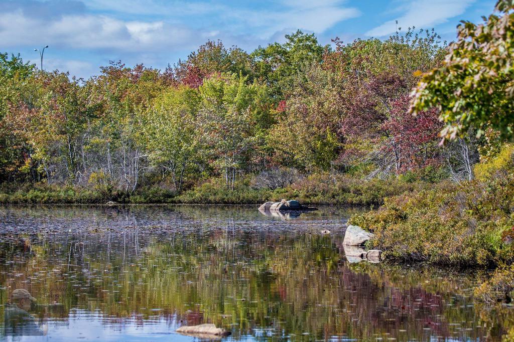 rmacrae's tweet photo. Noon walk at #Spectaclelake #dartmouth #NovaScotia #fall #colours 2015-10-05 http://t.co/Rh6ioLKKce