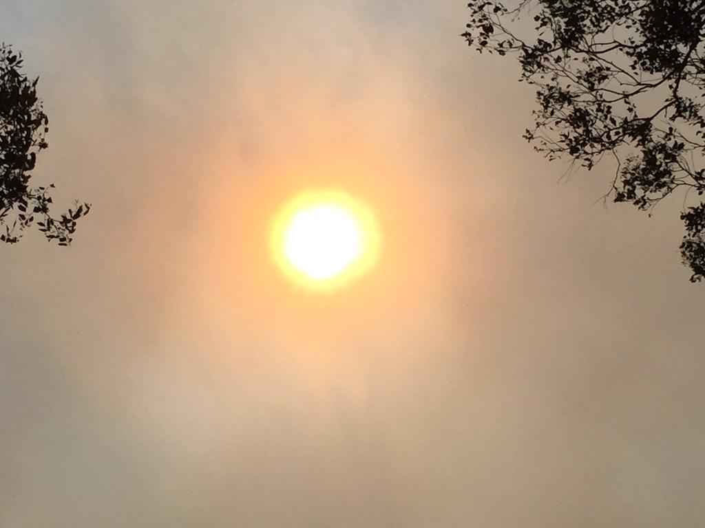 SKReid1's tweet photo. View from home. #bushfire sun #BushfirePlanning #fireseason http://t.co/GaqVZUsiEd