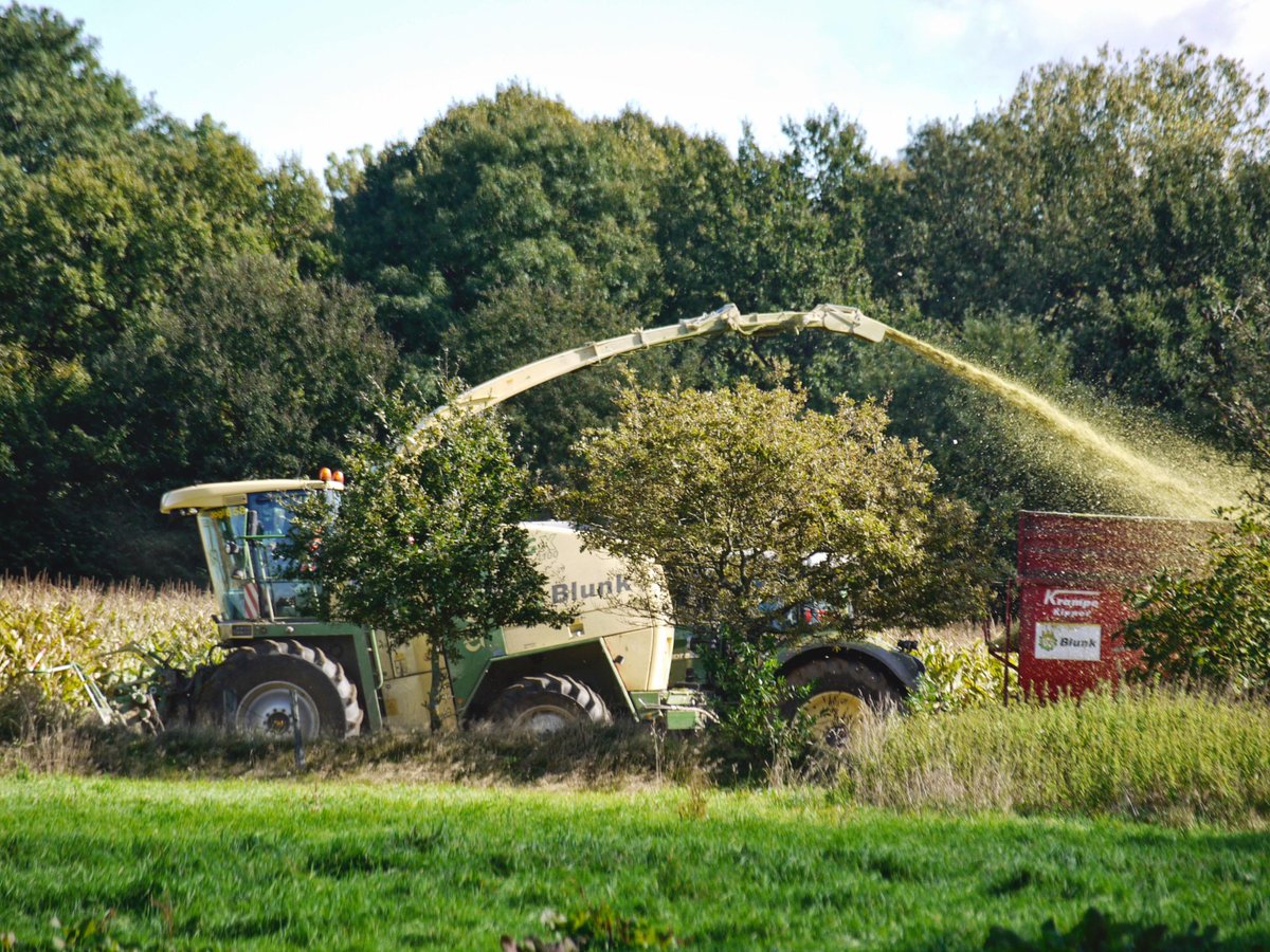 Jaeger_Magazin's tweet image. #Jäger von #Maishäcksler schwer verletzt!
jaegermagazin.de/jagd-in-den-me…
#Jägermagazin #Maisjagd