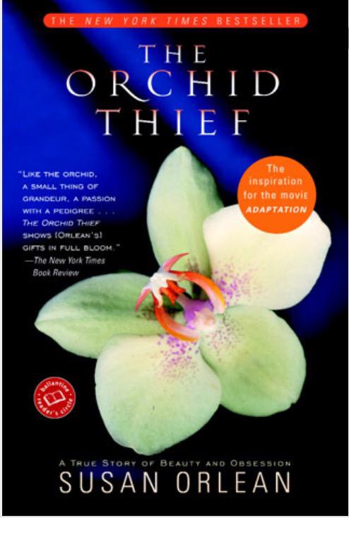 cynicalmonkey's tweet image. #TheBeginnersGuide Think about it...