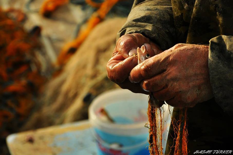 trtavaz's tweet photo. Trabzon Faroz Limanı’ndan “Günaydın”

Fotoğraflar: Hasan Türker http://t.co/TxKcwIfE6D