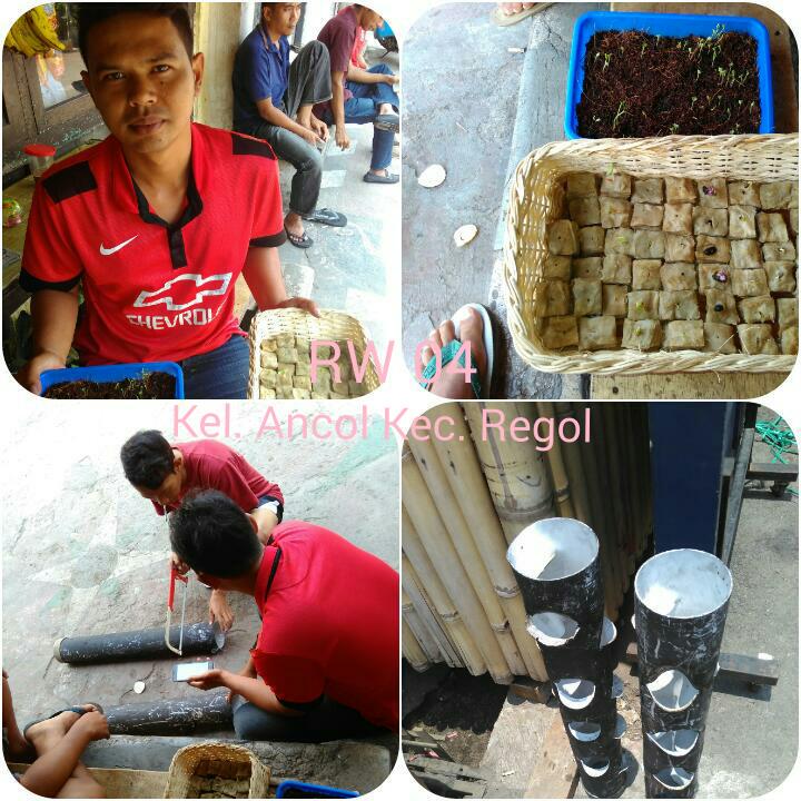 AncolKarta's tweet photo. Tarka RW04 - membuat media tanaman Hidroponik dengan media paralon dan Aqua bekas @ridwankamil @fikisatari @kartaBDG http://t.co/Tu9pGxJs7g