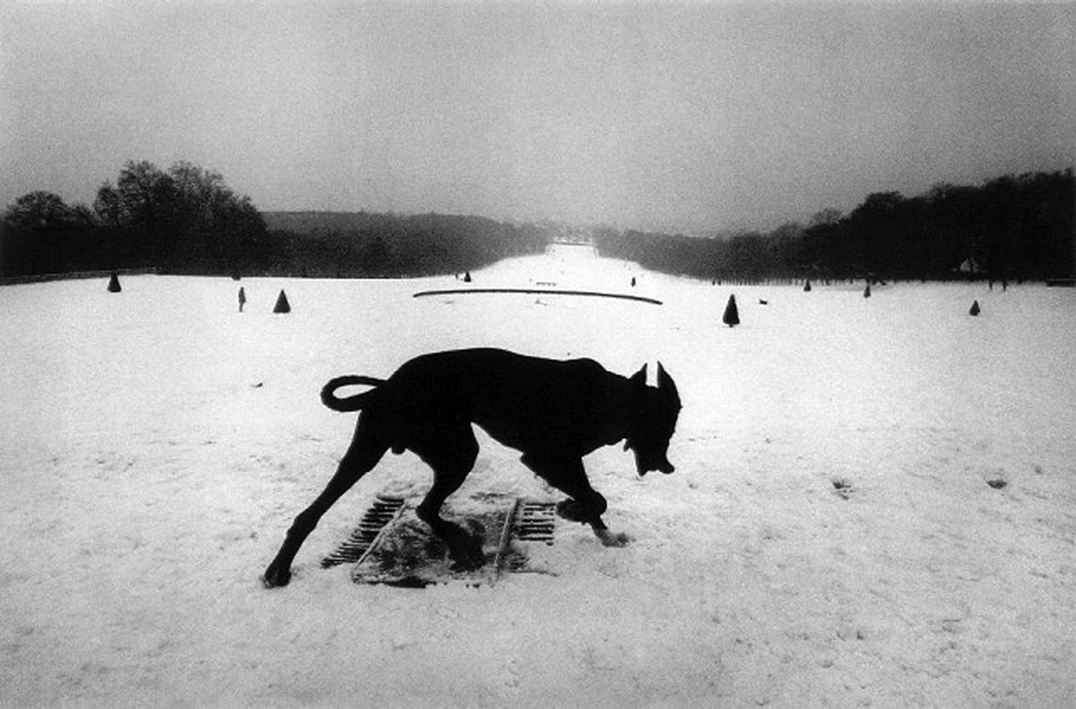 Sientateyobserv's tweet photo. “El máximo, eso es lo que siempre me ha interesado” ¿Habéis visto ya la #expo de Josef Koudelka en @mapfreFcultura? http://t.co/0N73HuM6m3