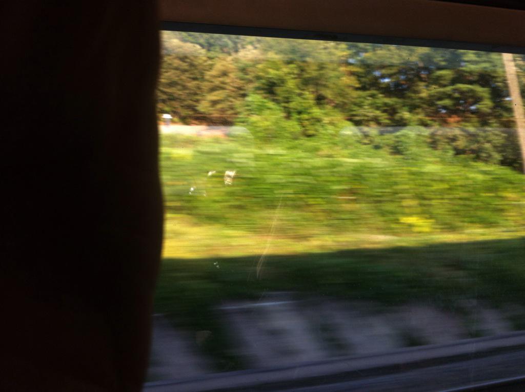 Jameschang1228's tweet photo. The countryside passes by as the train gently rattles. http://t.co/TWbiF2fzpT