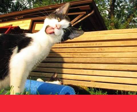 hepinize günaydın dostlarım :)))))