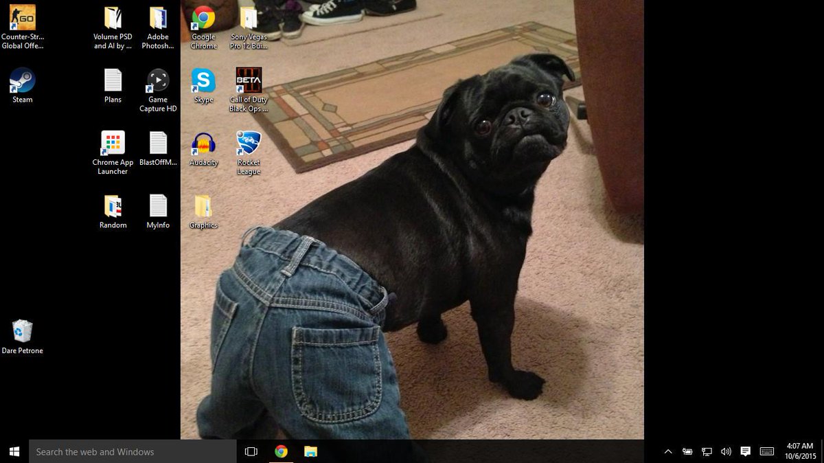 WillsBruh's tweet image. Where did my recycling bin go??