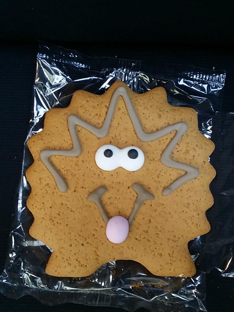 AmphiTweets's tweet photo. LOOK! We've a new ginger animal mascot! It's official, we have to find one of these on every #AmphiTrip #GingerHog http://t.co/RiNatUkVXI