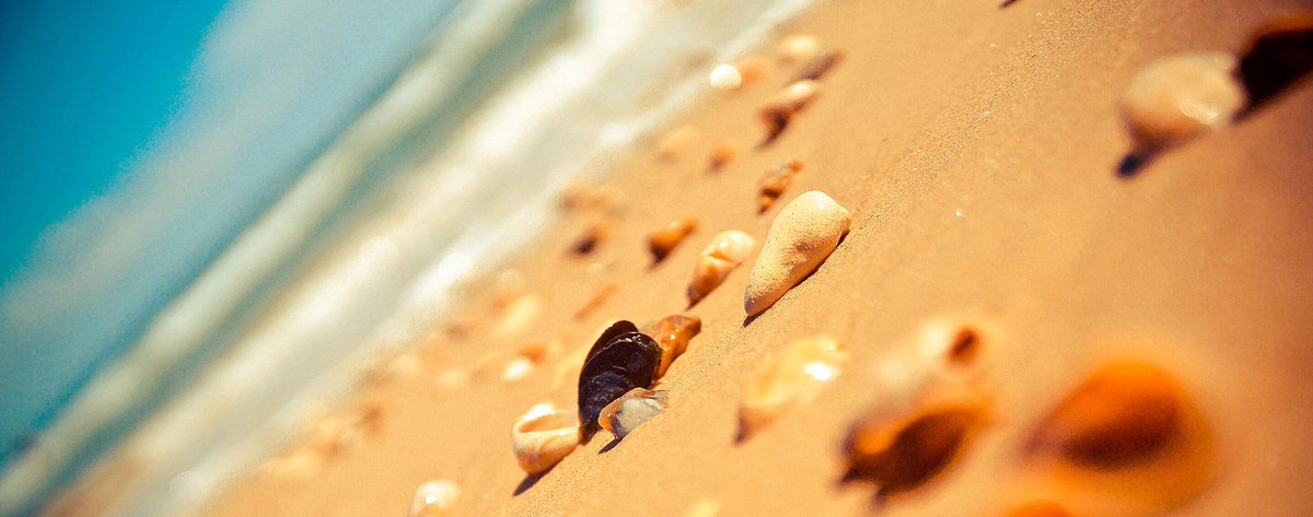 NetIntelect's tweet image. @NetIntelect are delighted to announce the launch of The Waves new website wavesblackpool.co.uk #Blackpool