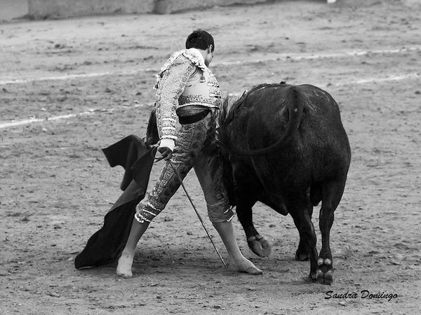 PurezayCasta's tweet photo. El TOREO como mandan los cánones... Pureza, alma, corazón y sentimiento. Una auténtica barbaridad.

Fotaza: @Dogar_S http://t.co/6SuXxbzgFa