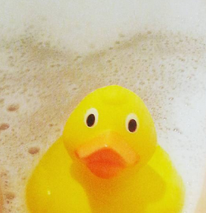 Extract_Tech's tweet photo. Hi @LACConveyor we're happy to report the duck is safe &amp; sound and kept in its natural environment #PPMA15 @ppmashow http://t.co/LwfQ7WR3PB