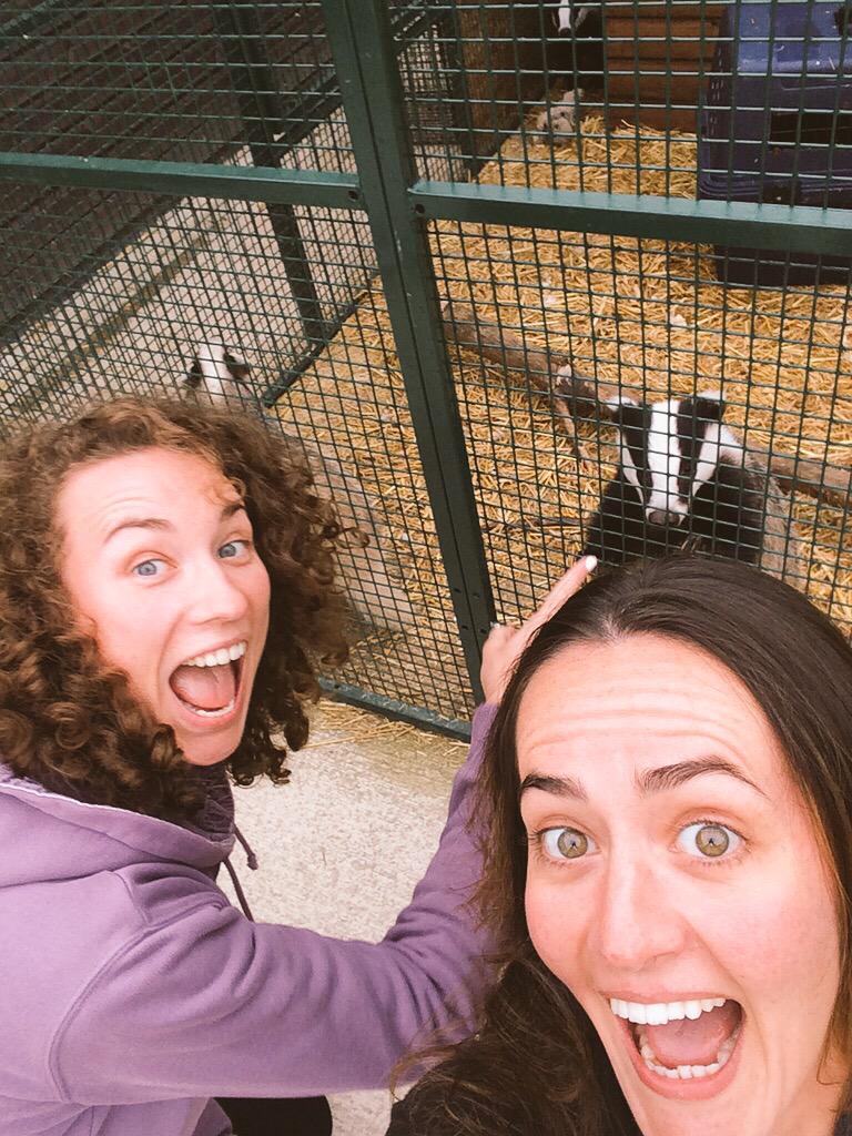 GeorgiaLilyStev's tweet photo. Happy National Badger Day!! @AliceMarlow57 @AnnekaSvenska @emeliobedelio @BillOddie @domdyer70 @Nigelmarven #Badgers http://t.co/l0bv4vj8cQ