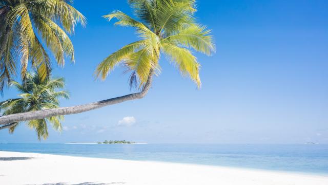 LeadsPR's tweet photo. http://t.co/DrHL4nQ1y8: Europese reizigers betaalden meest voor overnachting op Malediven. http://t.co/4JnQF8GQ0t http://t.co/GW1k56MOcZ