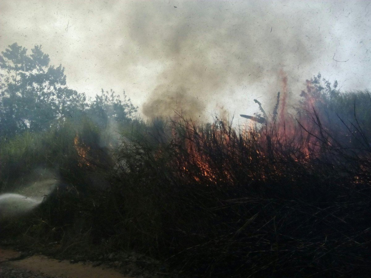 #info65 ilalang 5 Ha d Kp.Cikadu Rt26/09 Ds.Bunder Kec.Jatiluhur Jam13.30/17.30 WIB pnyebb pembakaran
<a href="/DediMulyadi71/">Kang Dedi Mulyadi</a>