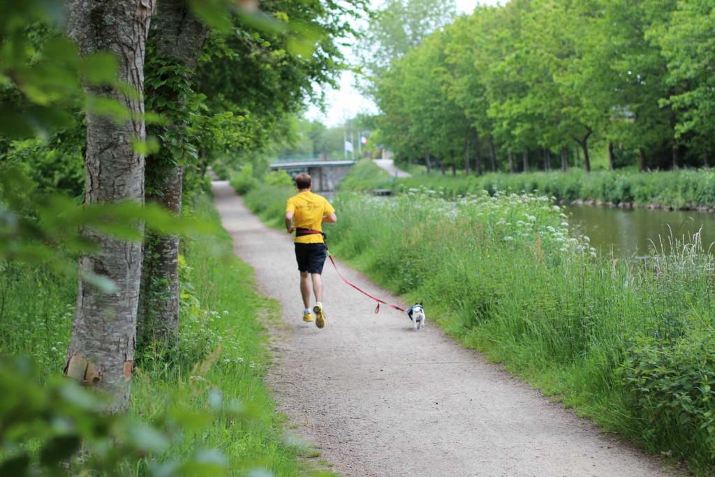 JamaisMaurice's tweet image. Courir avec le chien d’un autre ça vous dit ? goo.gl/0WI0lw  cc @MyDjogg