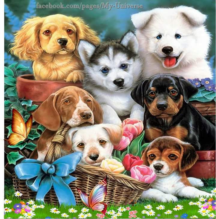 @SusanaMattas <a href="/eduardole4/">anticorruptos</a> <a href="/lulyge2010/">LOURDES GE ®</a> <a href="/ginestarros/">SuperGina♥️💚♥️</a> <a href="/AlfonsinNilda/">nilda alfonsin 🇦🇷</a> @angelica_samano @ismaelfz3 <a href="/ivania33/">Ivania:3</a> <a href="/RUBYELENA1/">🇨🇴Lenita Mija 🇻🇪🇵🇦🇯🇲🇦🇷🇵🇪🇪🇦🇺🇲</a>