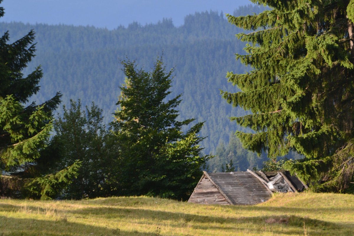 linguaprof's tweet photo. Windig up, up to #ghimes #gyimes one of the most beautiful places in #transylvania #romania #erdely http://t.co/i8Vq1suEZD