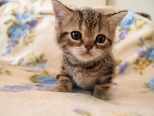 <a href="/clomimine/">clo</a> <a href="/Sylv33/">Sylvie-T 🪷🌏🧳🎶🌹</a> @Dom8CCJK <a href="/serenel14278447/">Serenella Raimondo</a> @mijeane4 <a href="/RSCLdaniel/">fandanne.rscl</a> 😊 🌹 Bjr mon ami Clo!