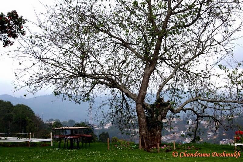 Click_Therapy's tweet image. Leaves dance
To song of the sky
As sun dozes off
To moon's lullaby
on.fb.me/1CAkjKW
#ClickTherapy #tree