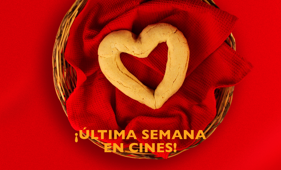 LaChiperitapy's tweet photo. ¡ATENCIÓN! Última semana en cines, no te quedes sin probar esta linda historia de amor, aprovéchala! http://t.co/mEmUP3WUCu