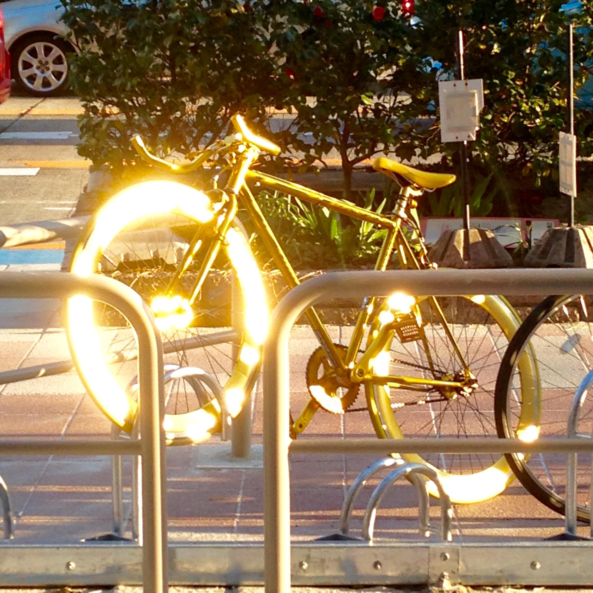 もこっちが自転車で行方不明