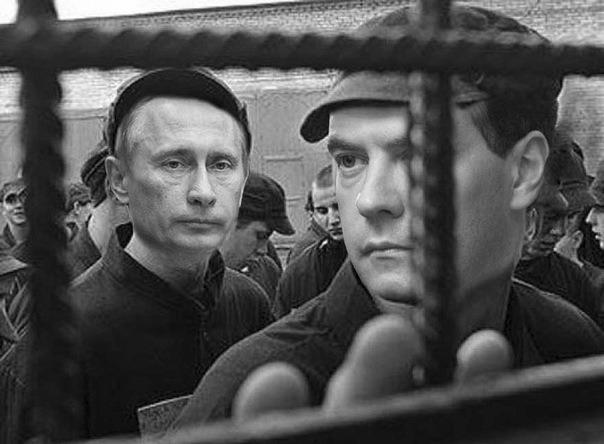 Петиция о полном обновлении судейского корпуса по примеру патрульной полиции набрала более 25 тыс. подписей - Цензор.НЕТ 6779