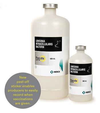 EganBrockhoff's tweet image. Any experiences out there from the USA with Porcilis ileitis yet? #ileitis #realpigfarming