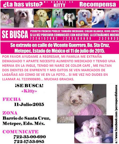 osskmartin's tweet photo. AYUDENME CON SUS RT POR FAVOR SE LOS AGRADEZCO DE CORAZON, NUCHAS GRACIAS POR TOMARSE LA MOLESTIA DE DIFUNDIR... http://t.co/SHhE5ivyDk