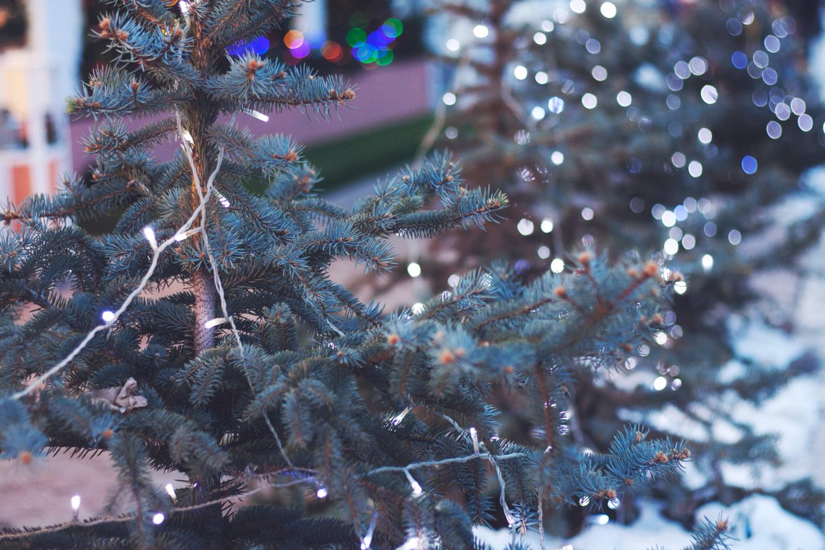 SmythenFarm's tweet photo. #Christmas comes to Braunton early in the shape of the 1st ever #NorthDevon Christmas Market 
http://t.co/oYWcnxn3AN http://t.co/aDbXbaK5BZ