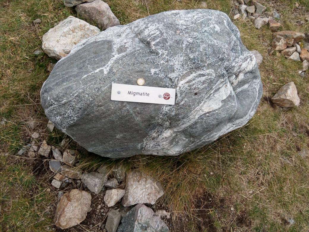 XiangLouise's tweet photo. Roche migmatite, indice de collision. #TSFlora2015 #VoyageAlpesTS3 http://t.co/IMCiwiZXb4