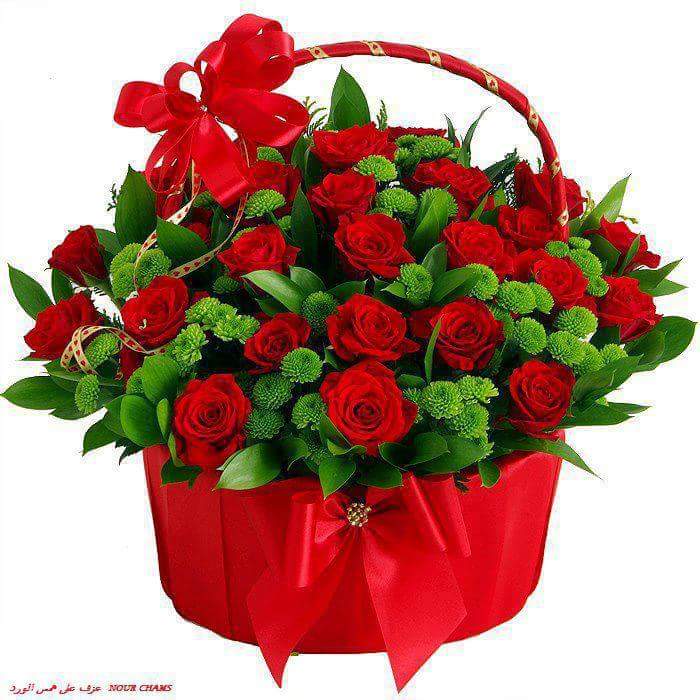RadAscc's tweet photo. @emereld77swe مرسي http://t.co/jIn2ciS8M2