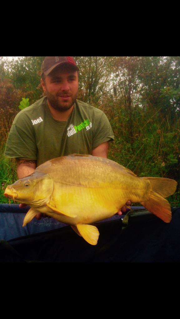 Joeldunne19's tweet image. Over the moon with this stunner!!! @CarpmanCrow @ClintHWalker biggest fish of the year! #neededthisone