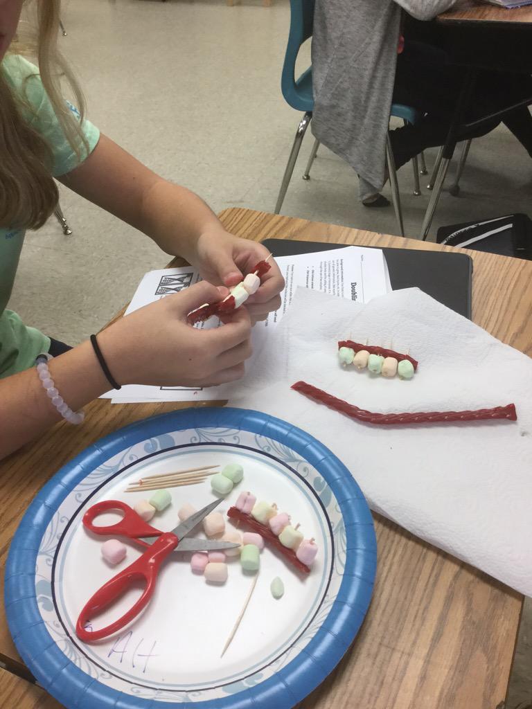 MrsHammsAgClass's tweet image. Edible DNA structures #learningisgood