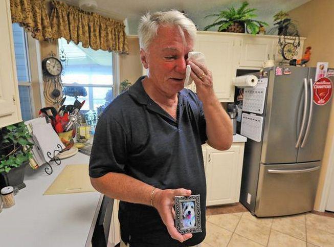 orlandosentinel's tweet image. Bear killed dog then 'he was basically on me,' pet owner says thesent.nl/1hpnQla