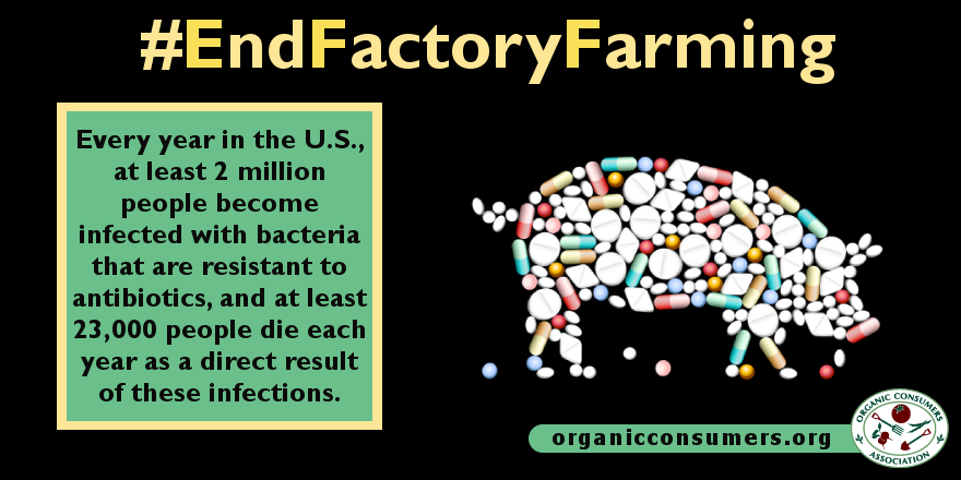 Researchers Rate Chain Restaurants on Antibiotic Use: How Does Your Favorite Stack Up? ow.ly/T5Eb4