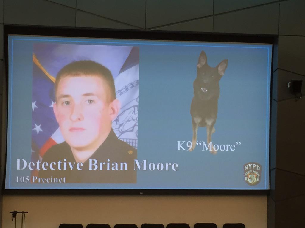 Phatpun87's tweet photo. Congrats to new transit bur K9 "Moore" and his handler PO Grimm #bmoore #moorematters #105anticrime #NYPD @NYPDnews http://t.co/oQ11RGdhXi