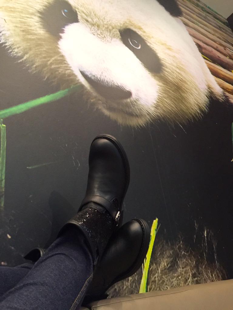 Maman! J'ai enfin des bottillons de grande. Ils sont beaux, brillants et confortables <a href="/ShoesPanda/">Panda Shoes</a> 😉 #mamanheureuse