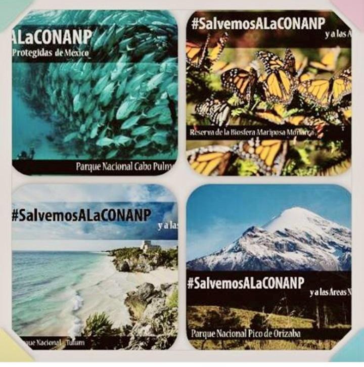 ComiteOVCUCBA's tweet photo. #MéxicoBiodiversidadEnRiesgo
#SalvemosALaCONANP http://t.co/0uSvbm996Z