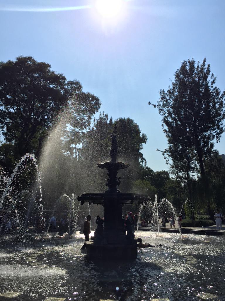 VIDAMEXICOO's tweet photo. #HoyEstaPara dar un paseo por la Alameda #CDMX http://t.co/E9qdfM4eyc