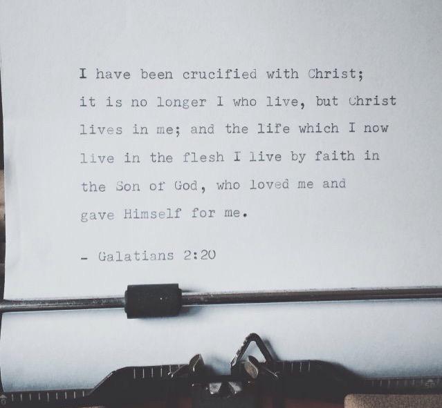 IdentityIn116's tweet image. 