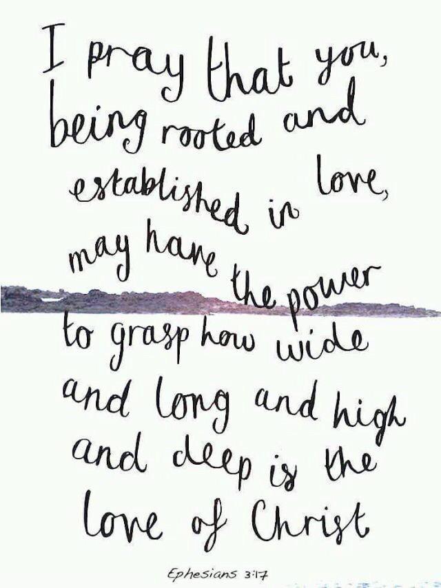 IdentityIn116's tweet image. 