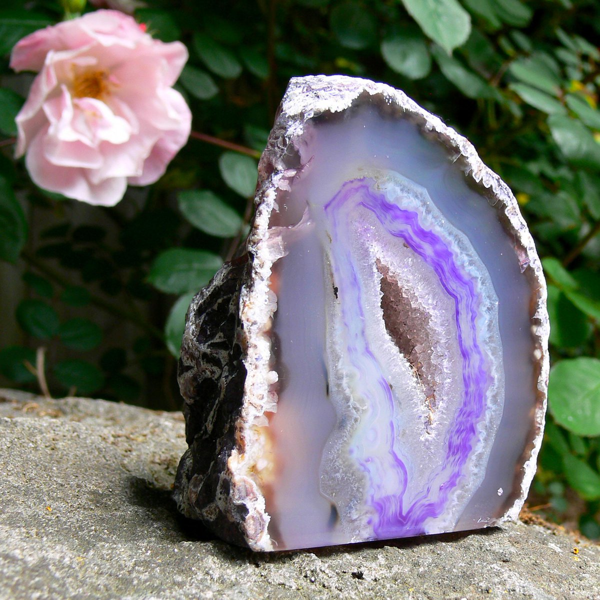 StarCrystalsAus's tweet photo. #agategeode specimens often surprise, with beautiful banding, vibrant colour, misty layers and fine crystals http://t.co/TenOrFFCFA